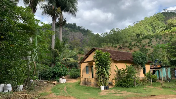 Sítio Produtivo em Burarama - Café, Eucalipto, Nascente e Casa