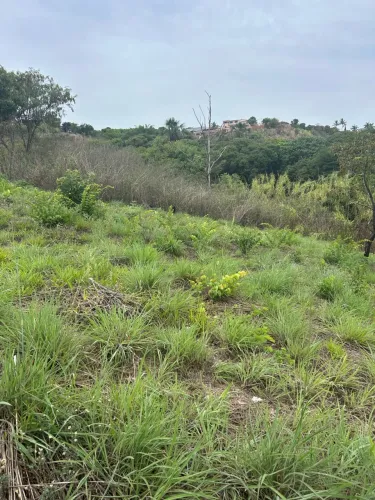 LOTE em Arniqueira 200 metros