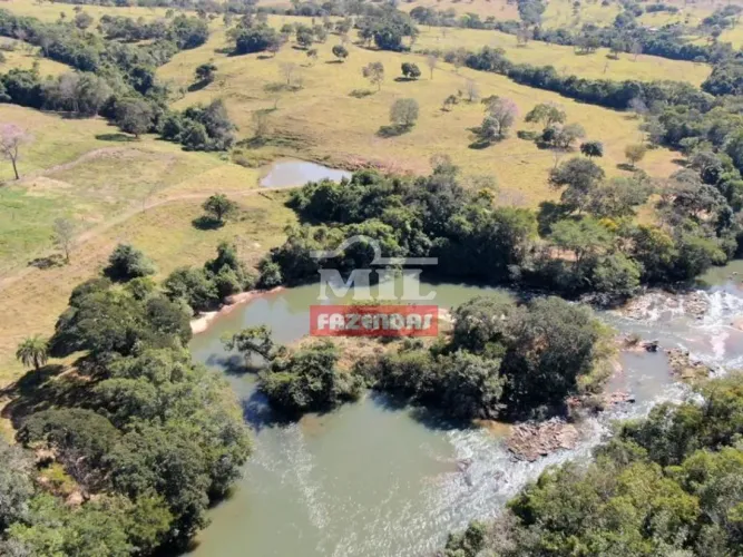 Fazenda 23 Alqueires ( 111.32 hectares) Caldas Novas-GO