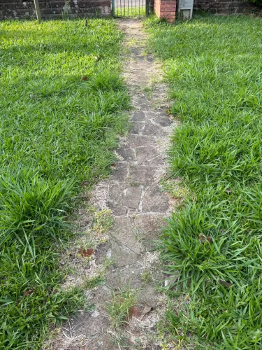 Faço corte de grama e limpezas de terreno 