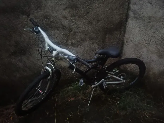Bicicleta