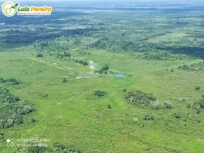 FAZENDA À VENDA EM POCONÉ MT 3.418 HECTARES (PECUÁRIA)