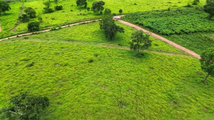 Chácara 20.000m², Energia, Terra de Cultura, Próximo Faz. Jabuticabal, Aragoiâna