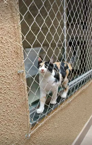Tela de proteção CERTIFICADA 