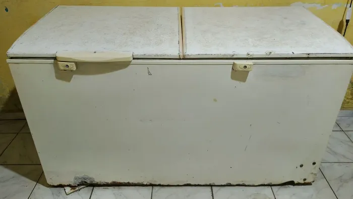 Frizer 2 portas