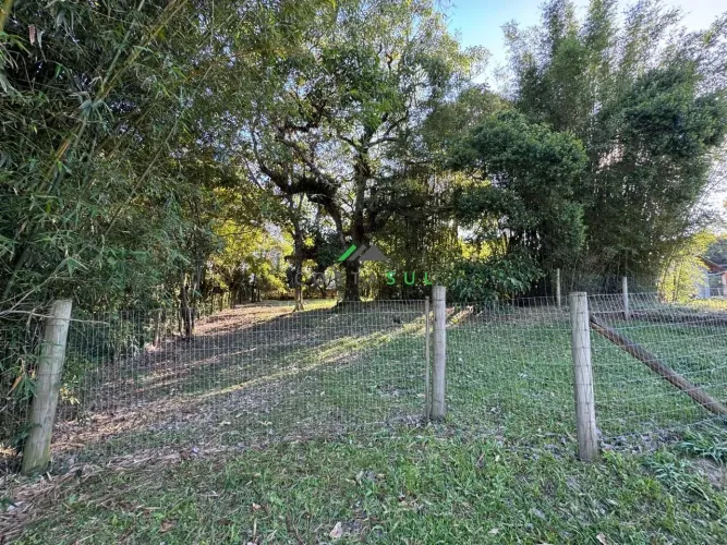 Terreno à venda  Rua Peixe Pintado | Lagoa de Ibiraquera