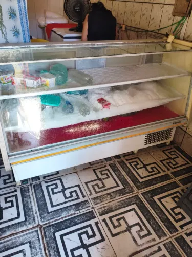 Freezer expositor horizontal