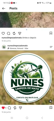 Limpeza de matos terreno gramas Limpeza em geral