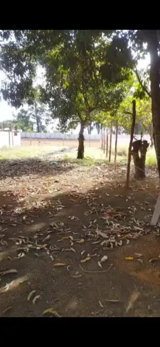 lote na rua 5 da 26 de setembro