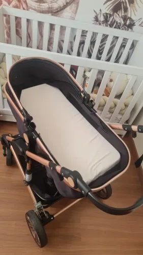Carrinho Moisés e bebê conforto
