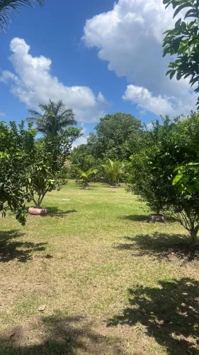 VAGA DE EMPREGO TRABALHO RURAL