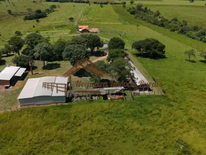 Fazenda a venda com 61 alqueires na região de Porangaba-SP