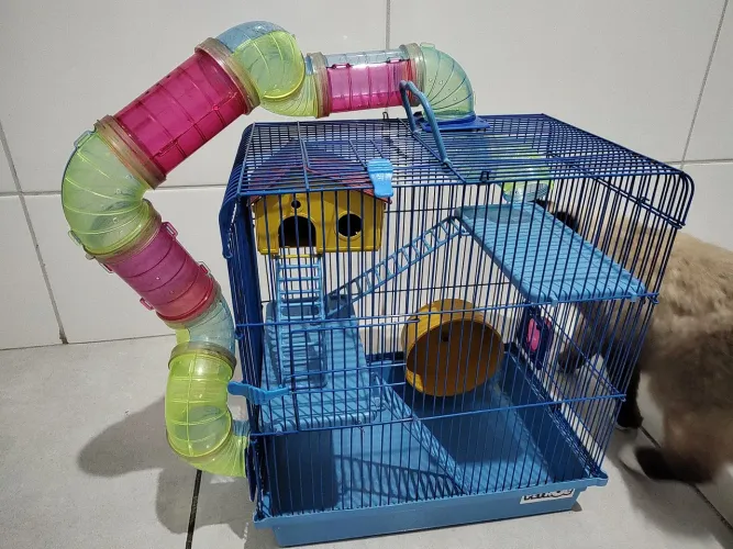 Vendo gaiola de ramster