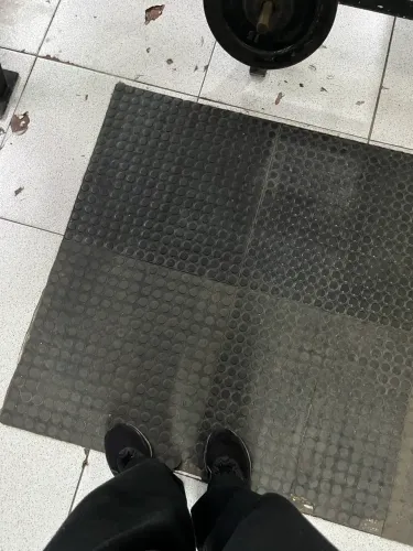 Piso moeda