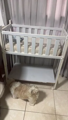 Berço 250 reais