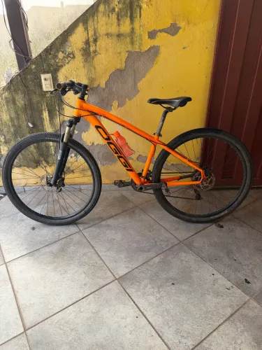Bicicleta oggi 29