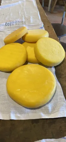 Queijo qualho caseiro
