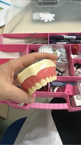 Manequim odontológico dentistica 