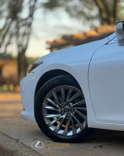 Lexus ES-300H ES300h 2.5 16V Aut. (hybrid) 2019