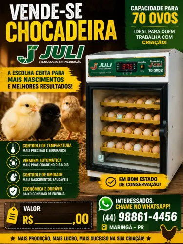CHOCADEIRA JULI. 