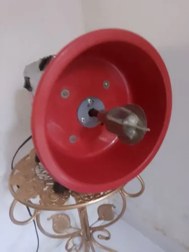 Máquina de ralar coco