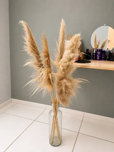 ? Capim-dos-Pampas Natural Seco + Vaso de Vidro - Decoração Moderna