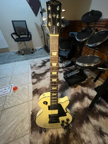 Guitarra Shelter