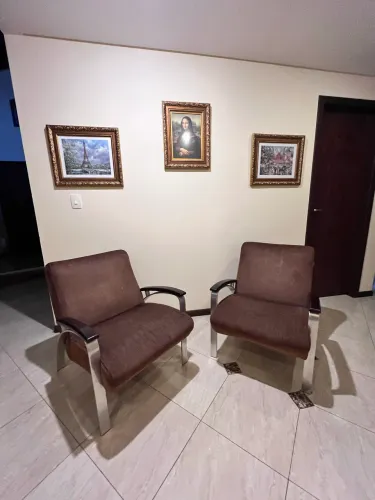 Poltronas Estofados Jardim