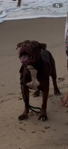Doacao