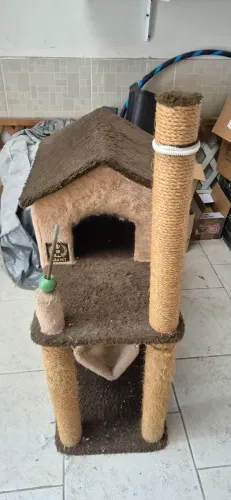 Toca de gato, 2 andares e arranhador 