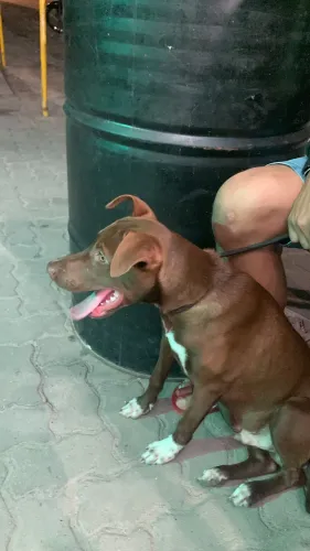 Doação