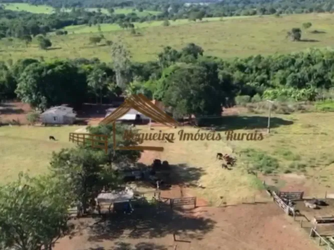 Fazenda a venda com 106 alqueires paulista em Aparecida do Taboado-MS