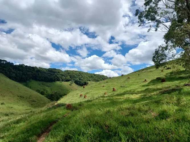 TROCO SITIO 245.000m2 DORES PARAIBUNA SANTOS DUMONT,COM MUITAS NASCENTES, 3 KM REPRESA CHA