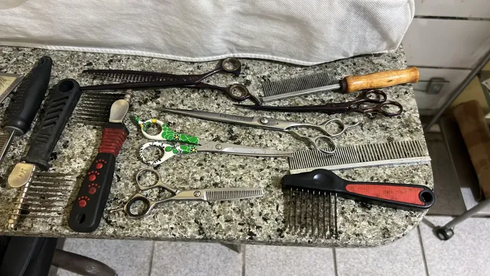 Kit de banho e tosa