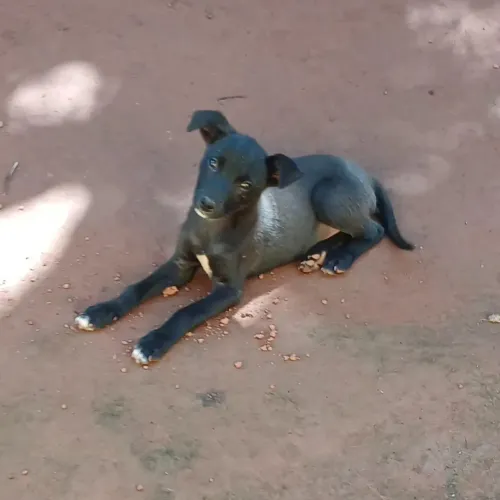 Doação