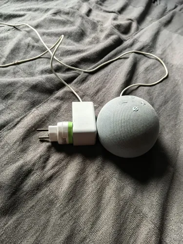 Alexa tudo pegando perfeitamente