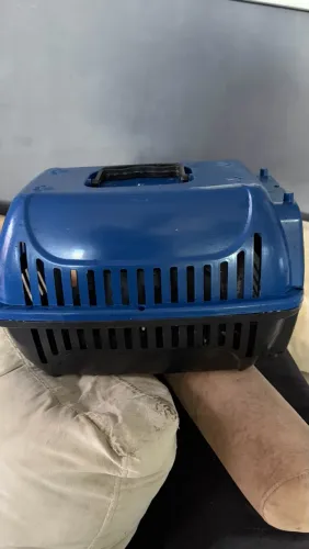 Caixa de transporte de cães e gatos n.2