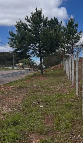 TERRENO INDUSTRIAL 9.000 e 18.000 m² - FAZENDA RIO GRANDE / DIVISA COM CURITIBA