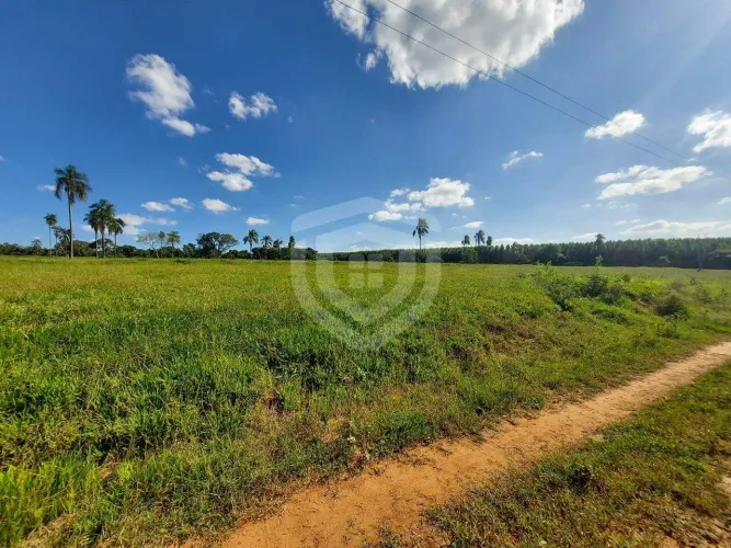 SÍTIO À VENDA  6,18 ALQUEIRES | IACANGA-SP