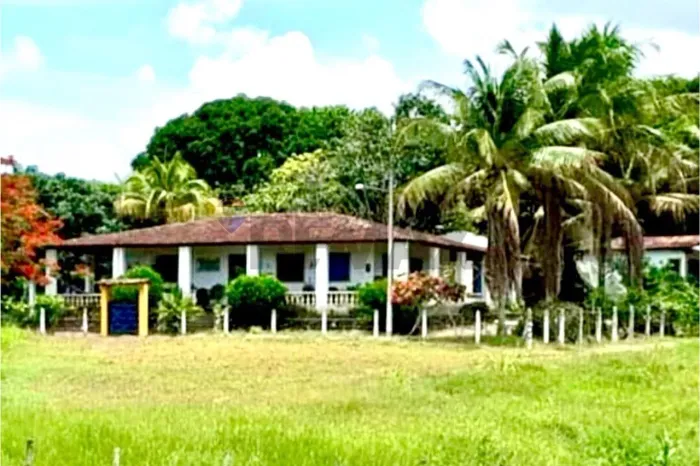 Sítio com 4,37 Ha em São Luíz de Quitunde