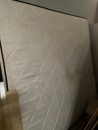Cama