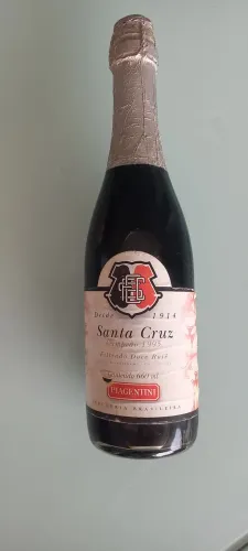 Souvenir Santa Cruz Campeão 1995