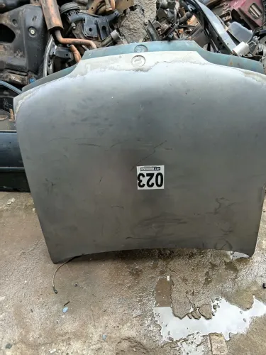 Capu do monza tubarão