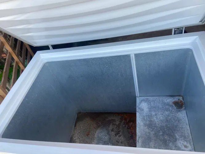Freezer Electrolux 