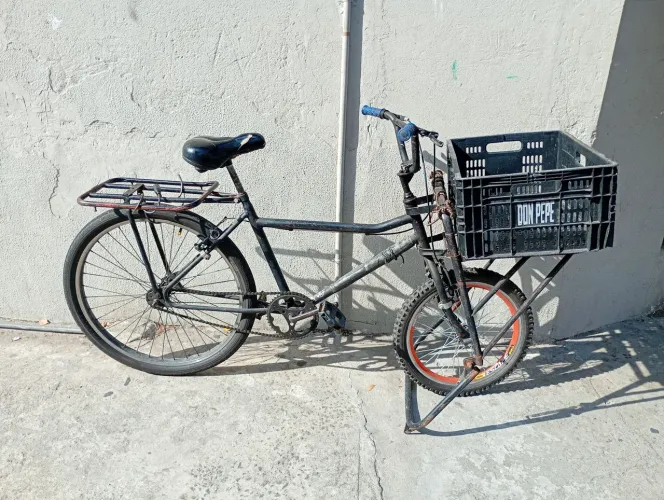Bicicleta cargueira 