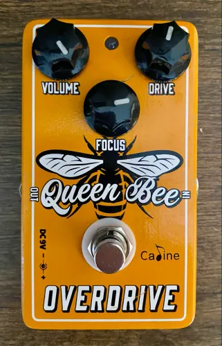 Pedal OverDrive Caline Queen Bee