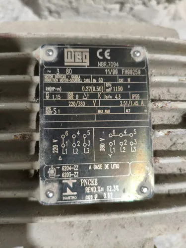 Motor WEG