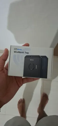 Wismesh Tag Lora