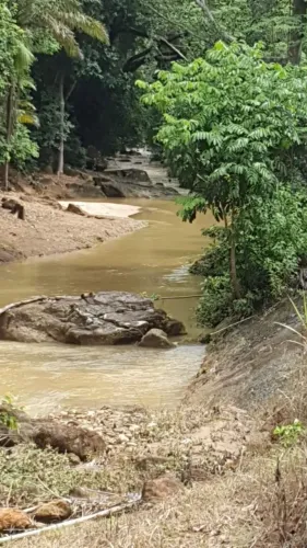Terreno de 3 mil metros em crubixa mirim, santa leopoldina