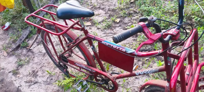Una bicicleta cargueira